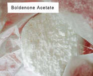 99 5% Pureté Hormone injectable acétate de boldénone pour la musculation CAS 2363-59-9